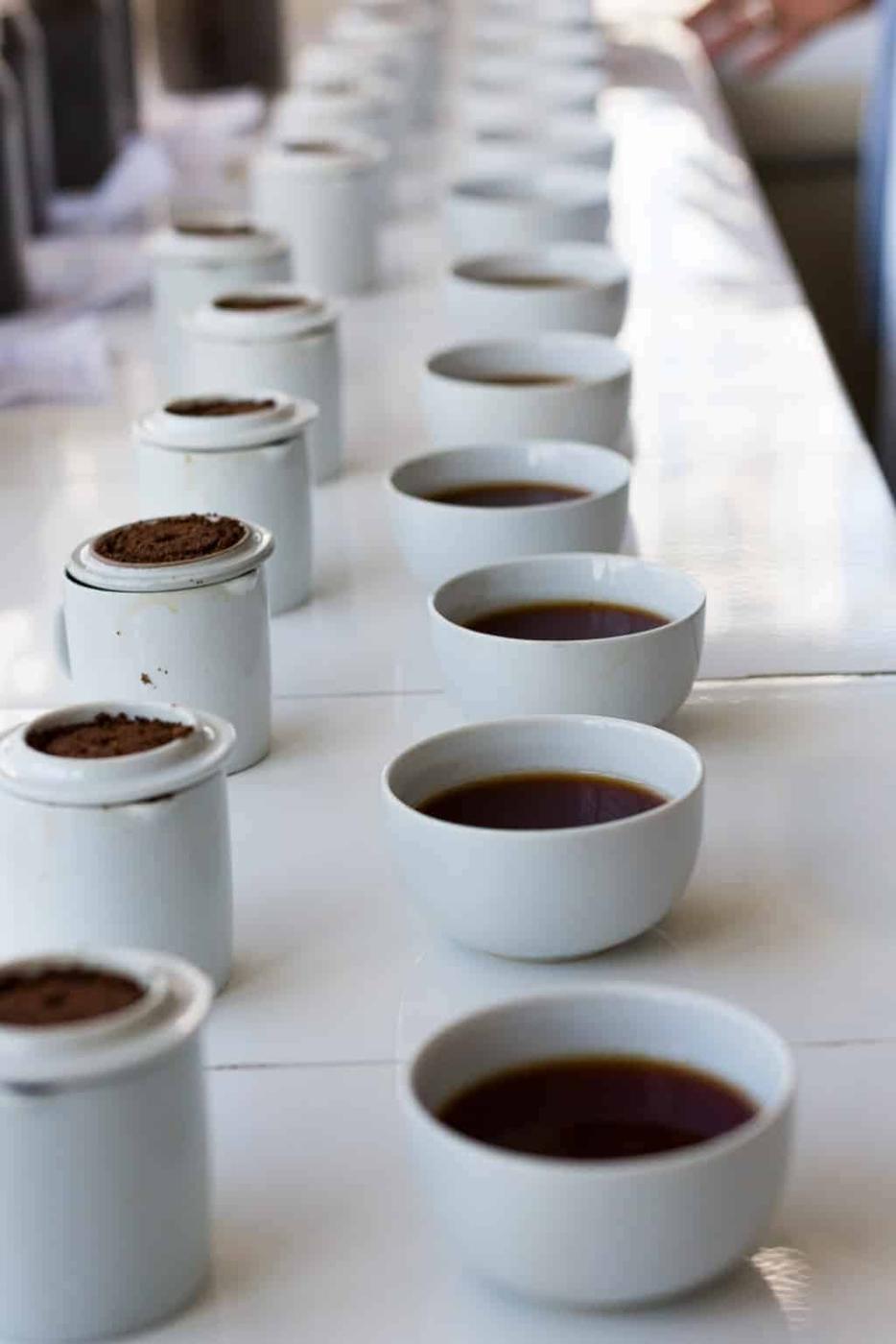 Assam, the largest producer of tea in the world is a beautiful north eastern state in India, lush with tea gardens, culture and history. Visit this far away state to go tea picking, taste the best black teas and eat delicacies like pork, bamboo shoot curry, banana flour and hard to find herbs.