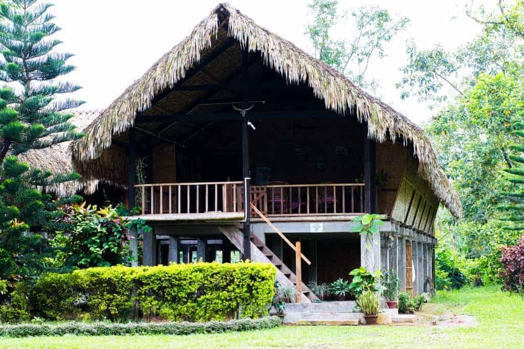 Assam, the largest producer of tea in the world is a beautiful north eastern state in India, lush with tea gardens, culture and history. Visit this far away state to go tea picking, taste the best black teas and eat delicacies like pork, bamboo shoot curry, banana flour and hard to find herbs.