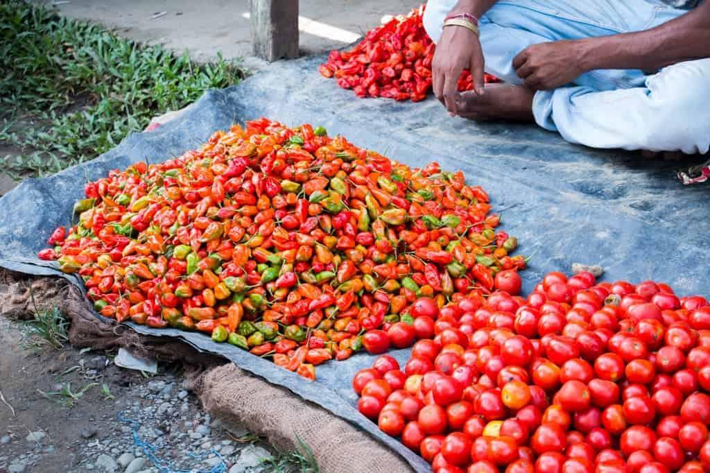 Assam, the largest producer of tea in the world is a beautiful north eastern state in India, lush with tea gardens, culture and history. Visit this far away state to go tea picking, taste the best black teas and eat delicacies like pork, bamboo shoot curry, banana flour and hard to find herbs.