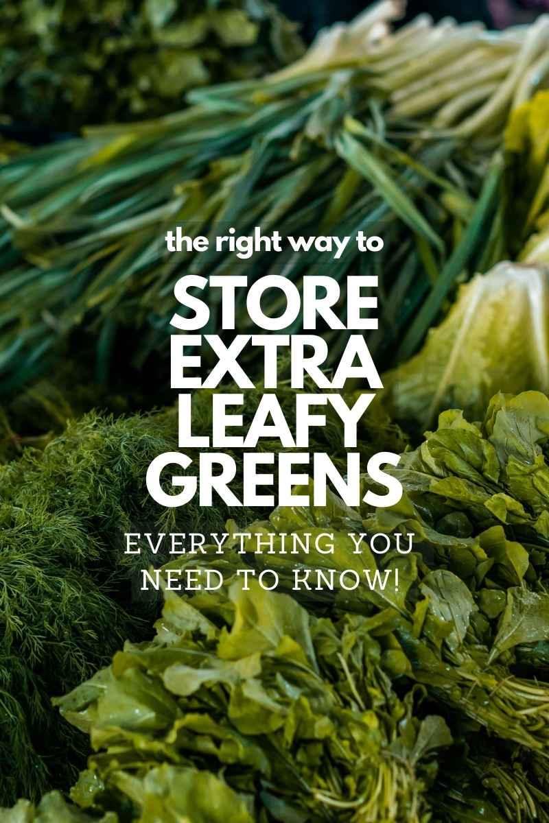 The Right Way To Store Extra Leafy Greens