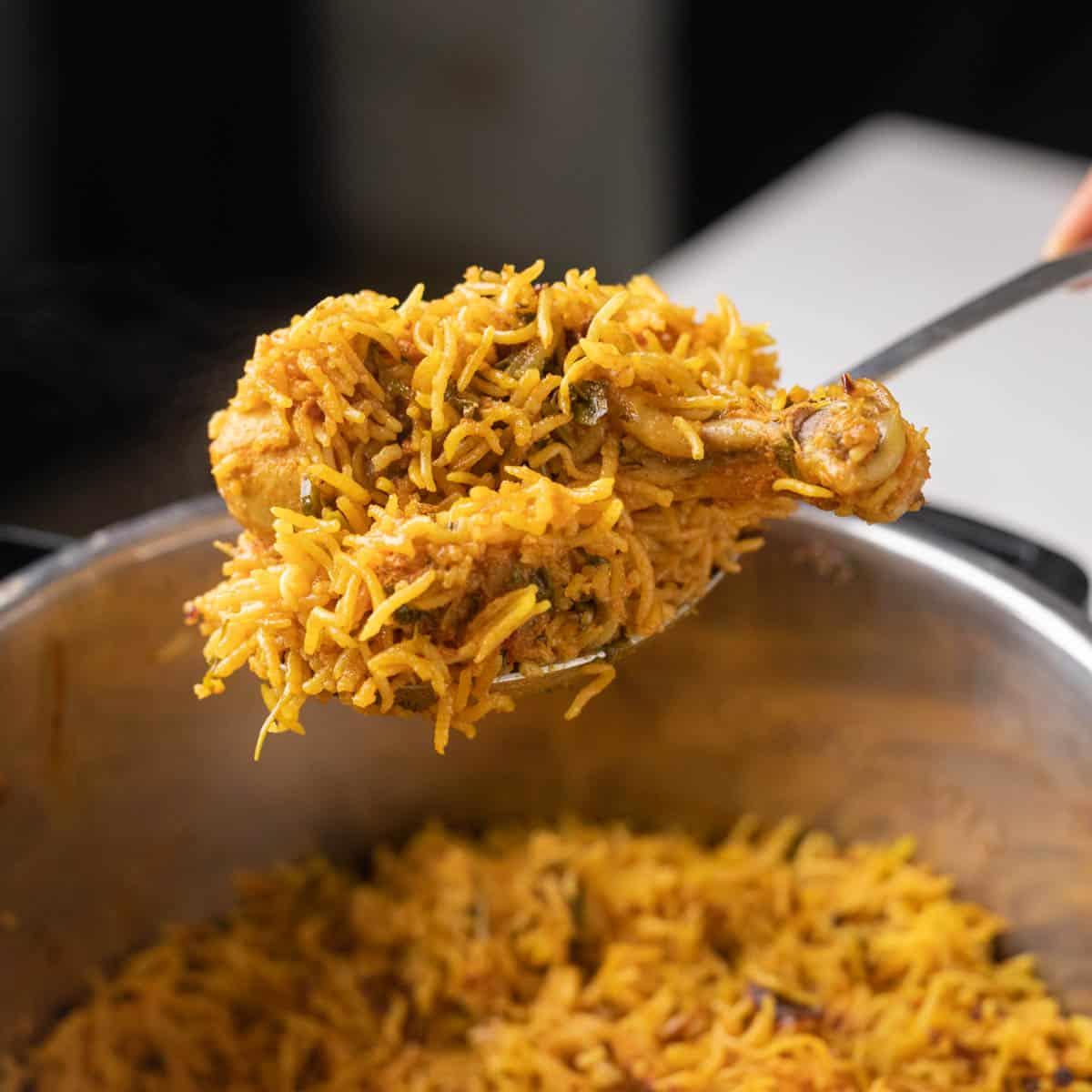 Instant Pot Chicken Biryani