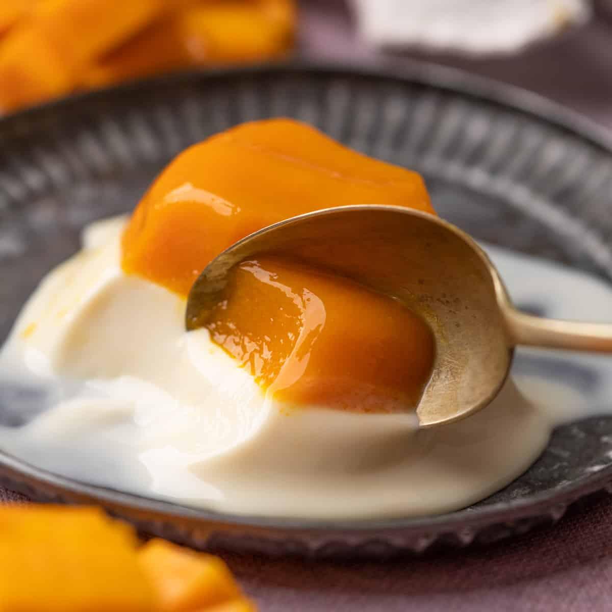 Mango Panna Cotta