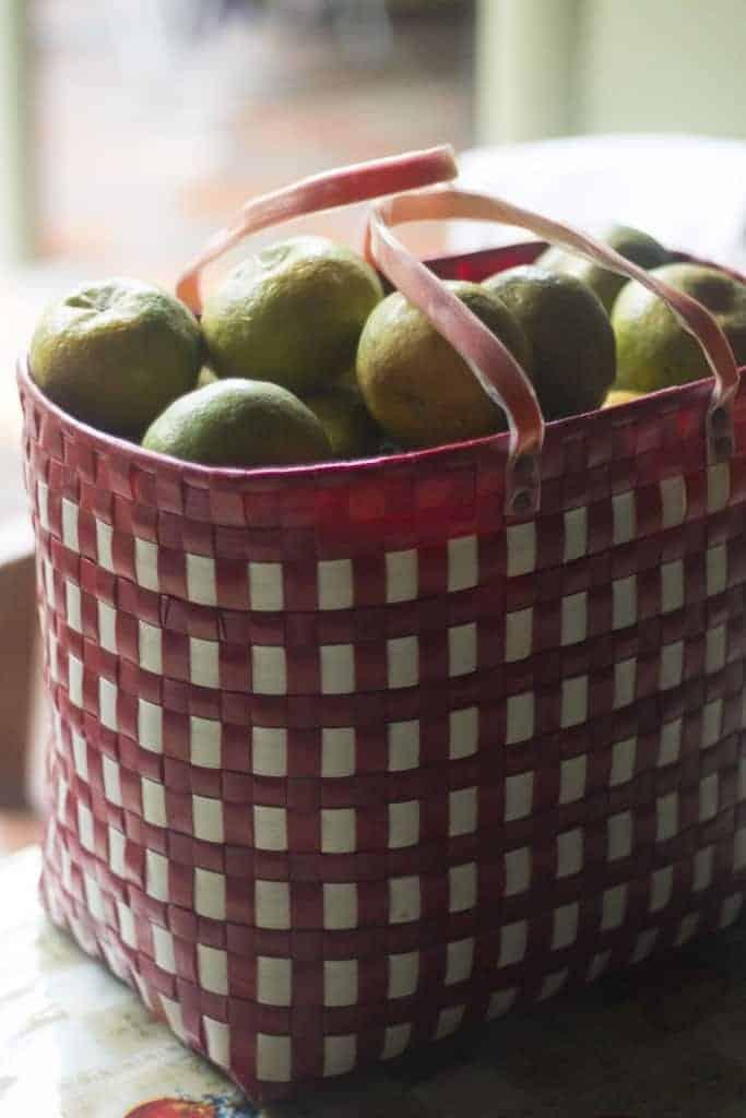 oranges in a red and white bag