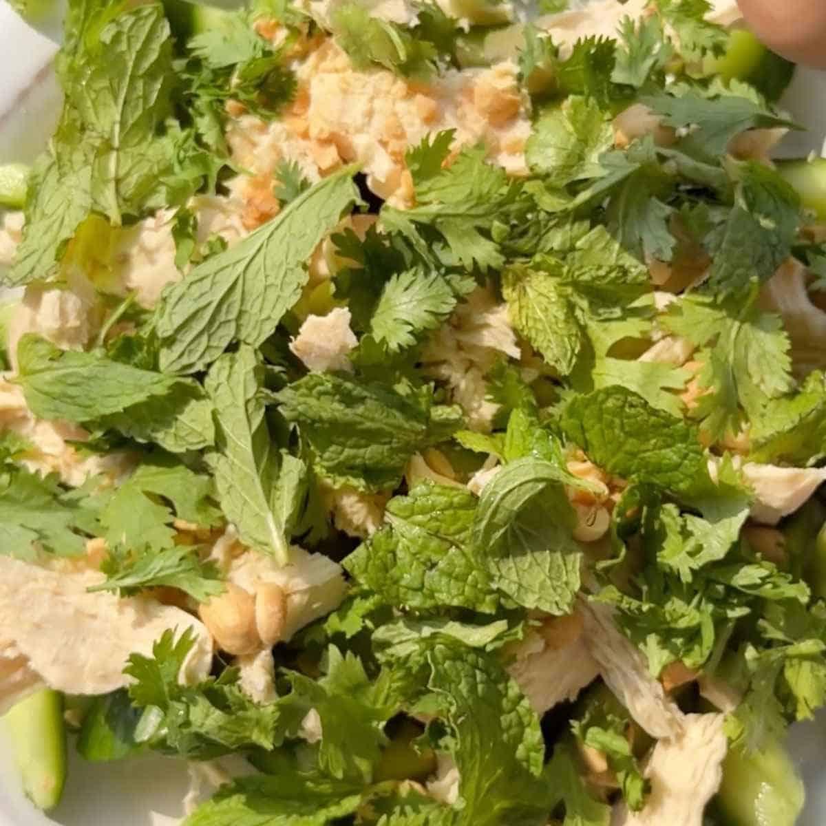 how to make spicy chicken cucumber salad - step 13