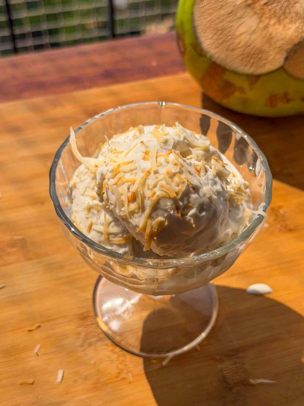 5-Ingredient Tender Coconut Ice Cream (without ice cream maker)