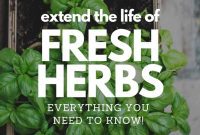 Simple Hacks for Fresher Herbs That Last