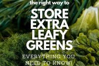 Mastering Leafy Green Storage
