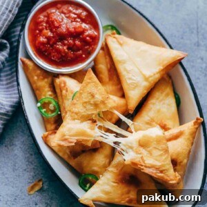 Super cheesy jalapeno three cheese samosa, gooey and crispy
