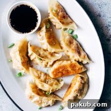 Vegetarian Gyoza Potstickers with Carrot and Paneer served with a dipping sauce on a white plate