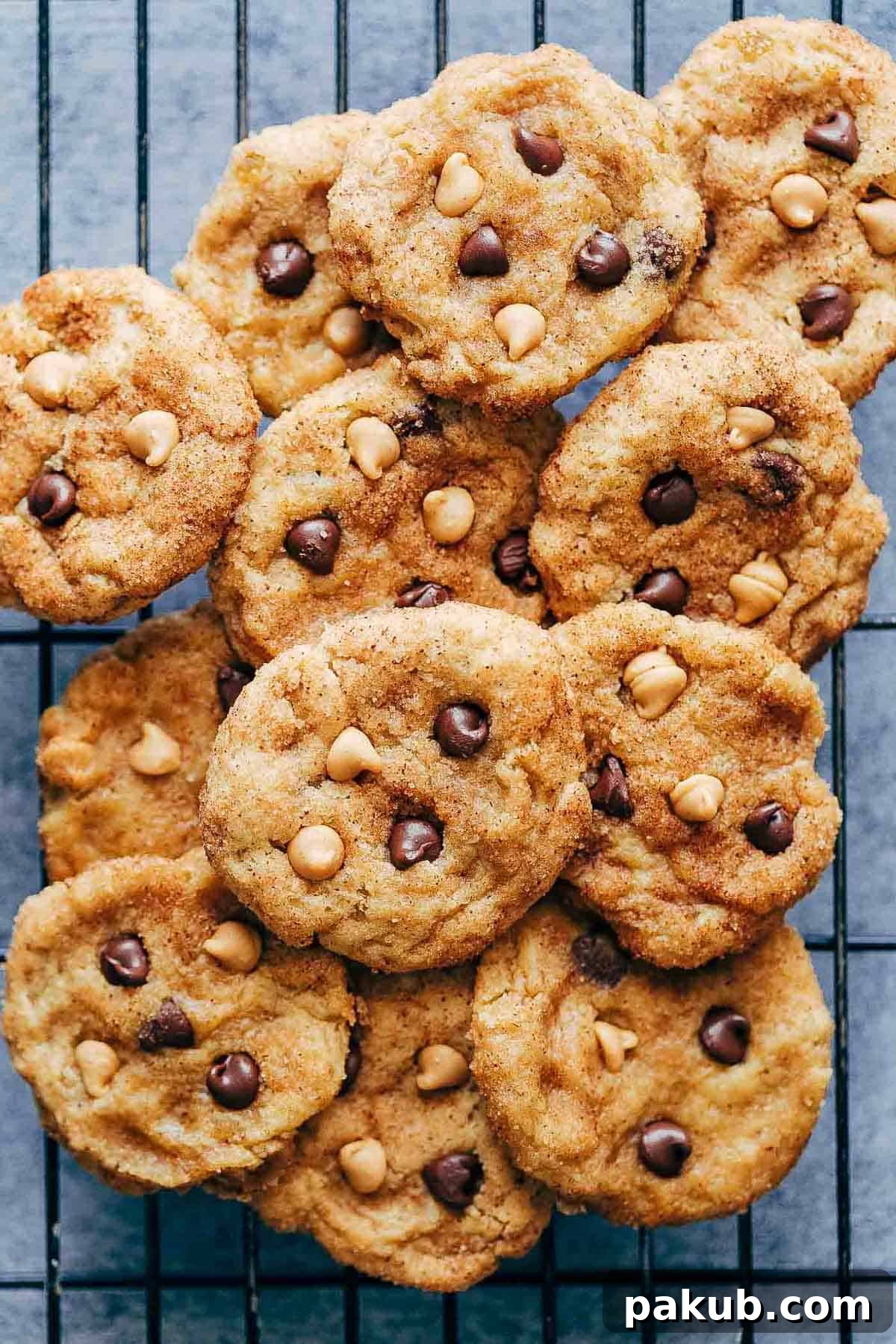 Freshly baked Pumpkin Snickerdoodle Cookies arranged on a cooling rack, showing their golden brown edges and soft centers, ready to be enjoyed.