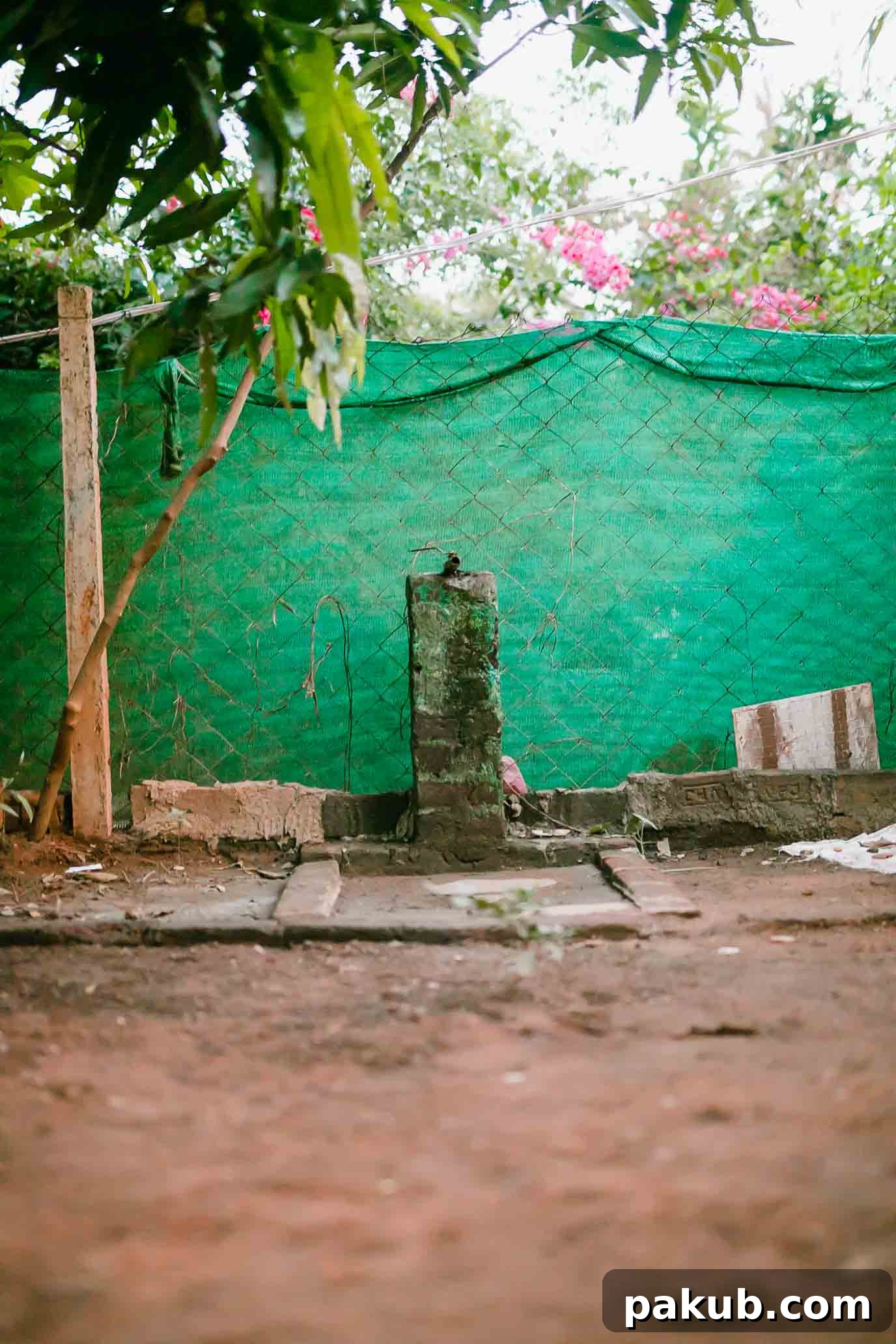 A New Chapter 8 The charming outdoor water tap, a simple yet essential part of our Auroville home