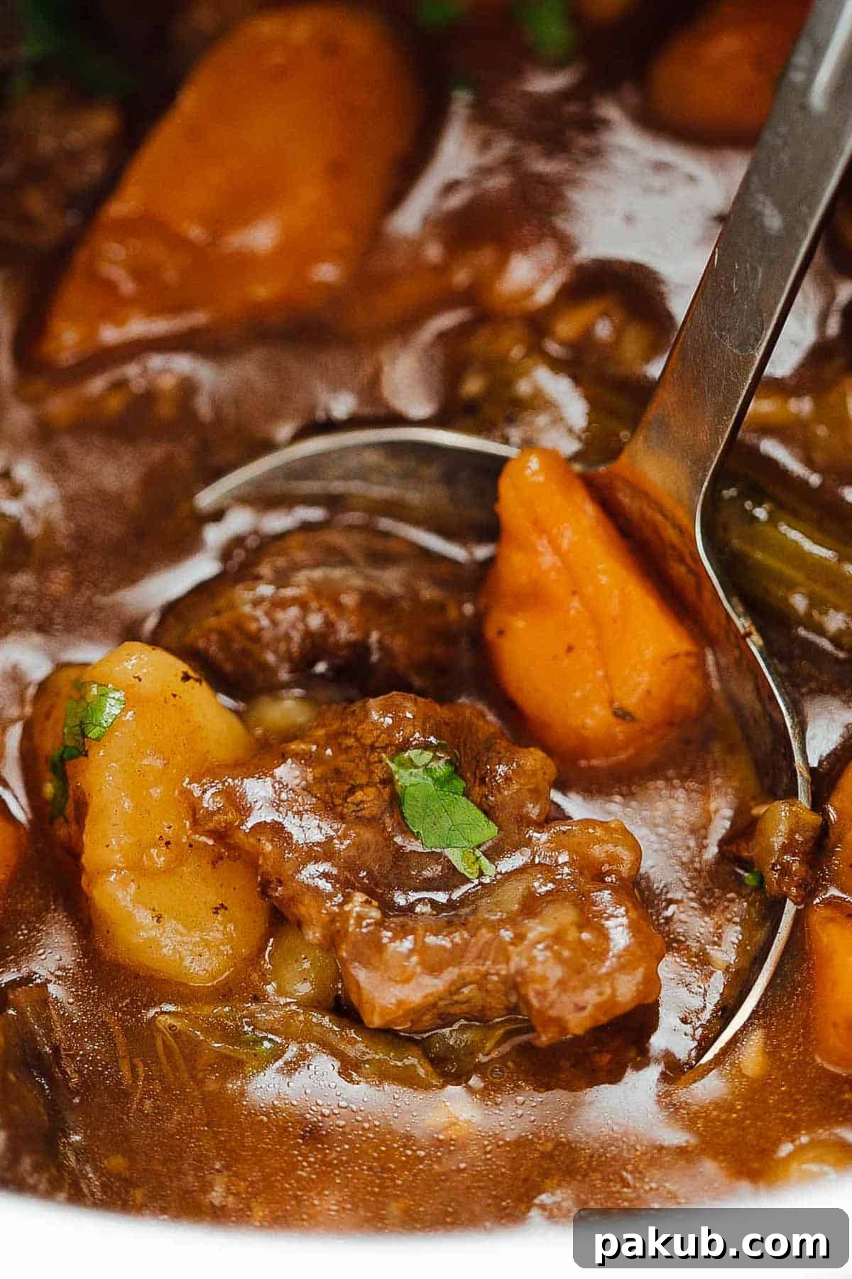 Quick and Easy Instant Pot Beef Stew 2 Easy Instant Pot Beef Stew