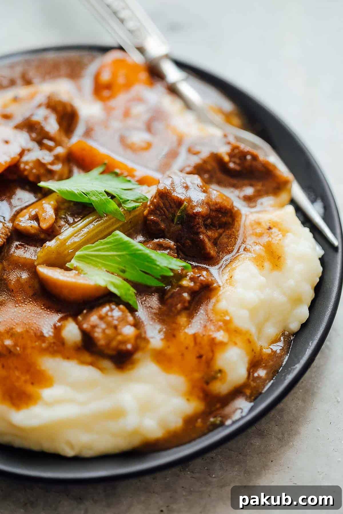Master Your Instant Pot 21 Recipes for Every Meal 11 Easy Instant Pot Beef Stew served with mashed potatoes, showcasing tender meat and vegetables.