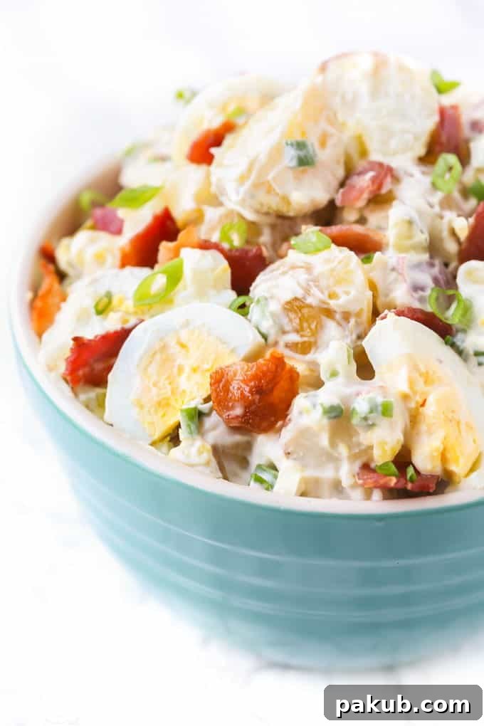 Master Your Instant Pot 21 Recipes for Every Meal 19 Classic Potato Salad, with potatoes perfectly cooked in a Pressure Cooker, a fantastic side dish.