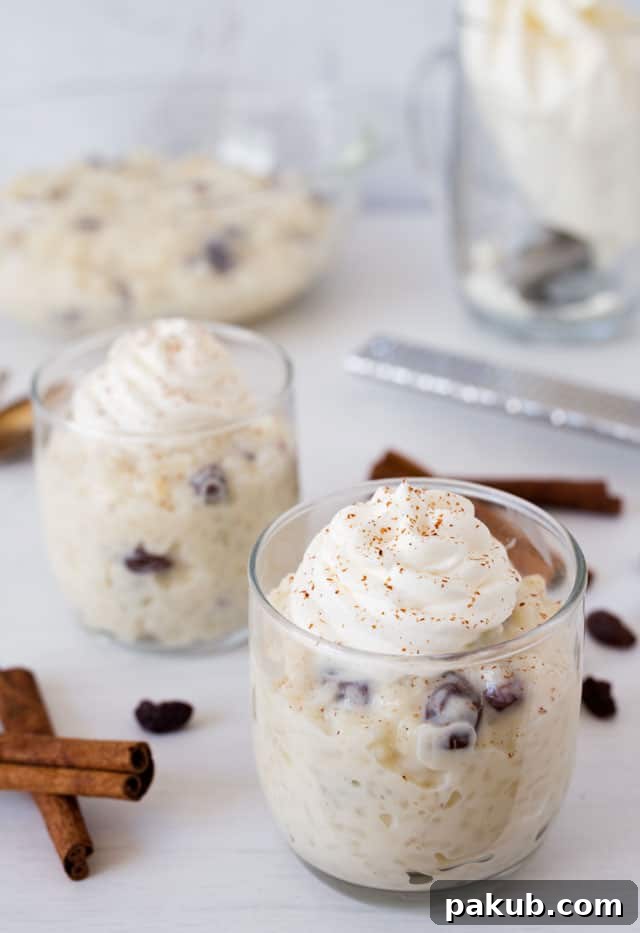 Master Your Instant Pot 21 Recipes for Every Meal 22 Creamy and comforting Instant Pot Rice Pudding, a classic dessert.