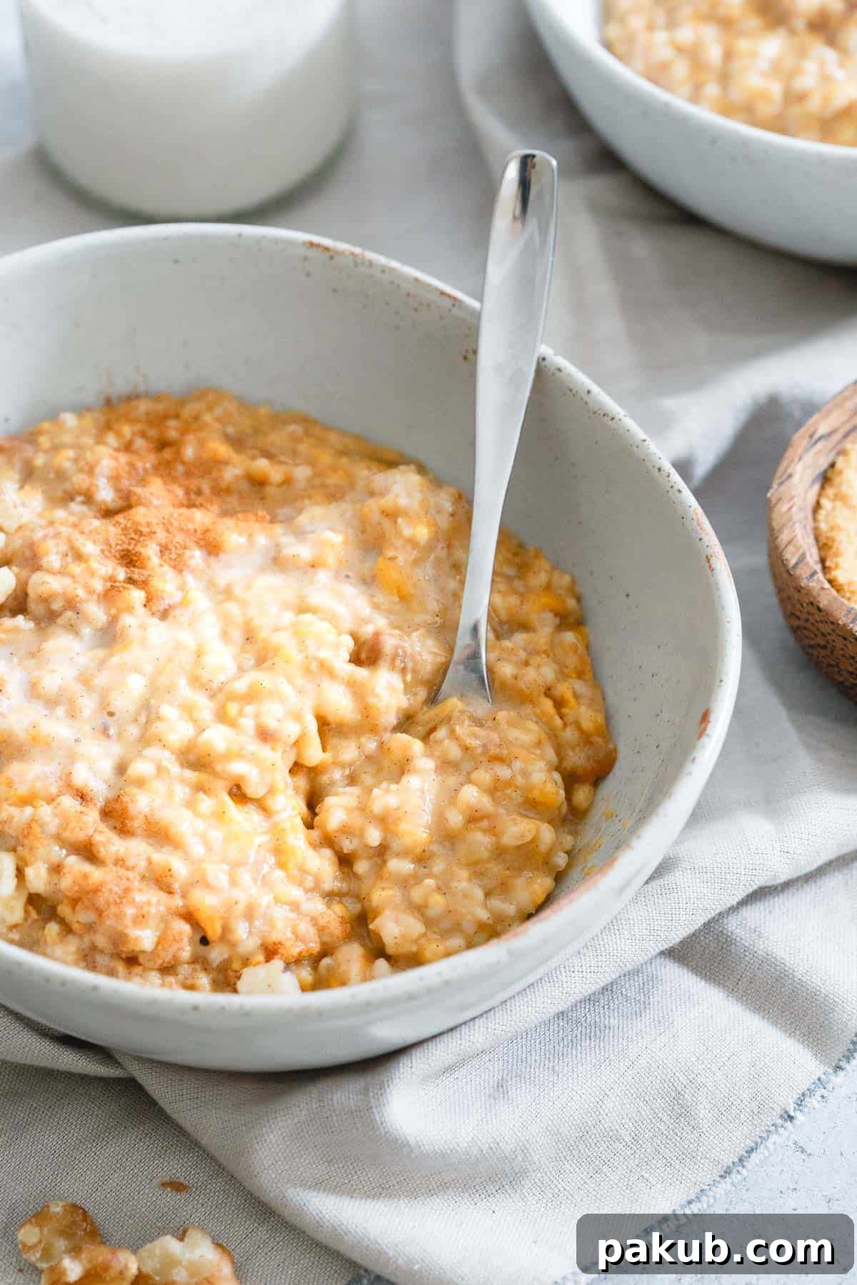 Master Your Instant Pot 21 Recipes for Every Meal 5 A bowl of creamy Instant Pot steel cut oats, a healthy and hearty breakfast option.