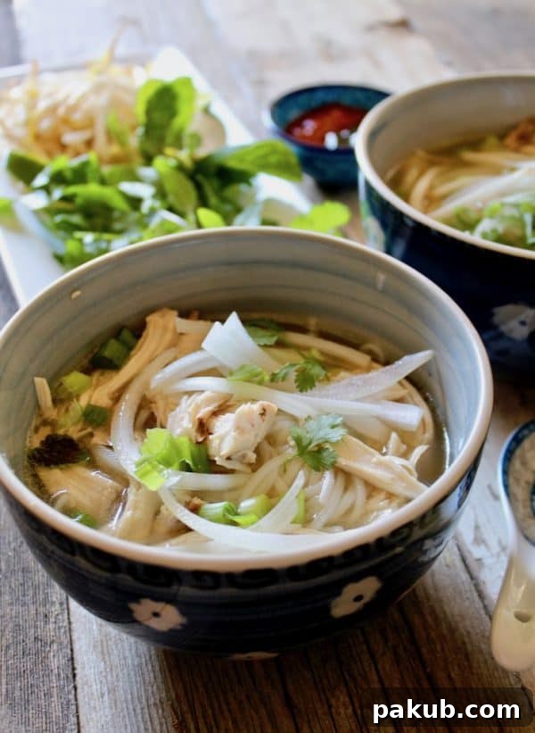Master Your Instant Pot 21 Recipes for Every Meal 9 Authentic Vietnamese Instant Pot Pho Ga, a fragrant chicken noodle soup.