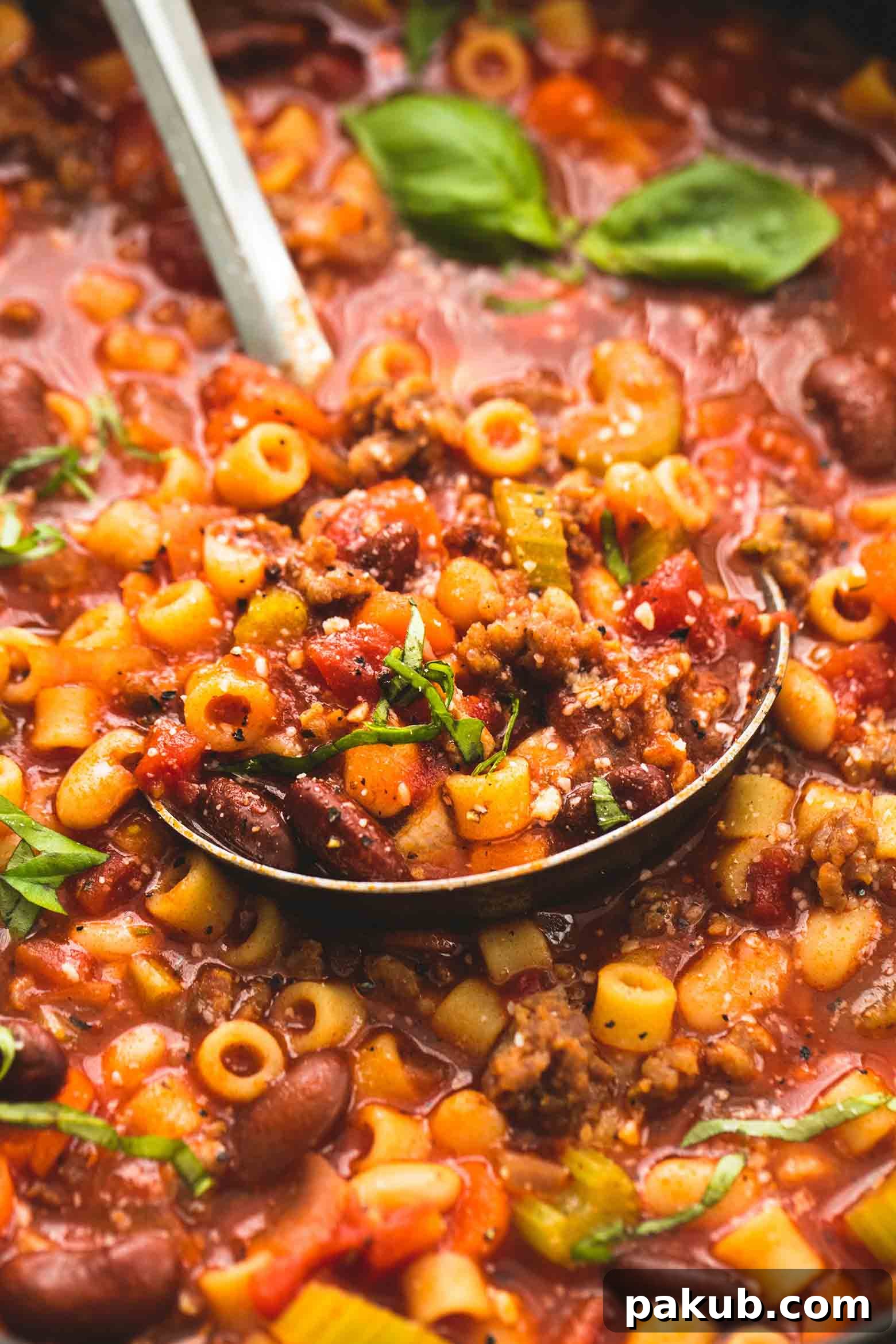 Master Your Instant Pot 21 Recipes for Every Meal 10 Hearty Instant Pot Pasta e Fagioli soup, an Italian-American classic.