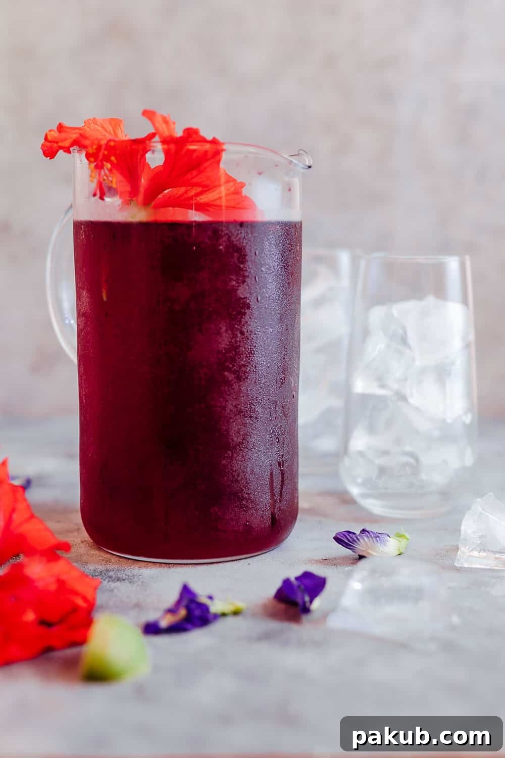 Iced Hibiscus Tea served in a large jug with fresh hibuscus flowers