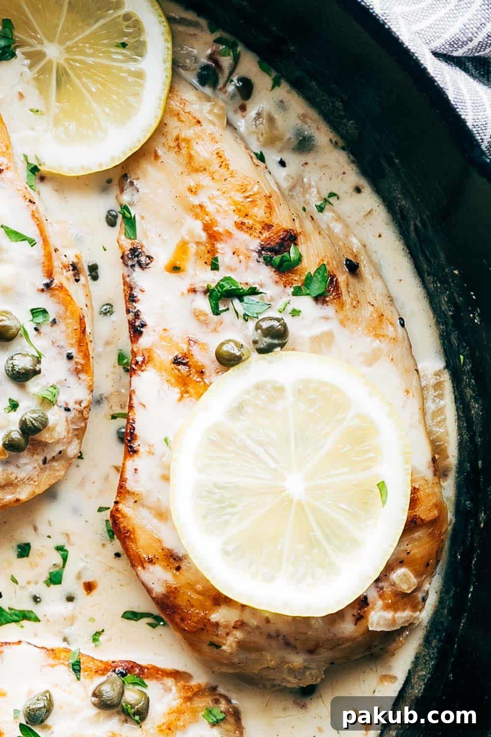 Close-up view of creamy lemon chicken scallopini, adorned with bright lemon slices and tiny capers.