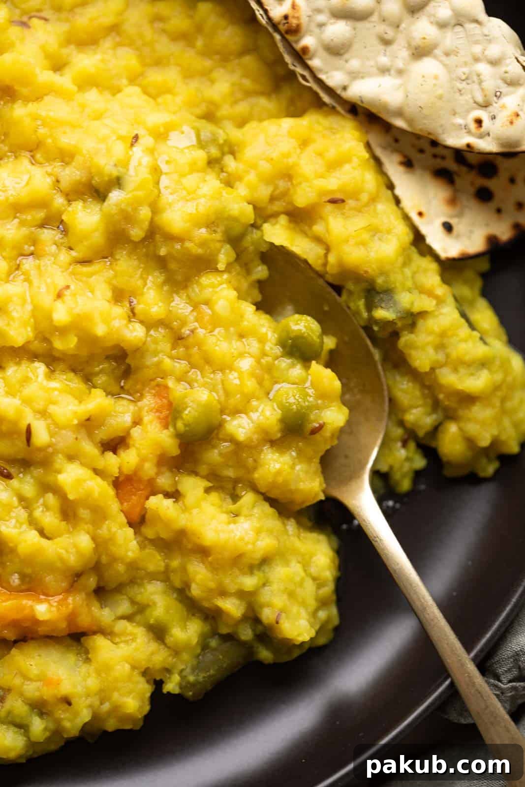 Irresistibly Delicious Khichdi 4 Closeup of khichdi in a spoon