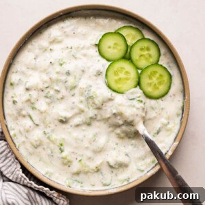 Refreshingly Versatile: The Best Indian Raita Recipes 3 Cucumber Raita served in a bowl with sliced cucumber as garnish