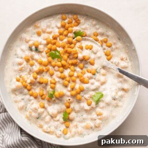Refreshingly Versatile: The Best Indian Raita Recipes 6 Boondi Raita served in a white bowl with coriander on top