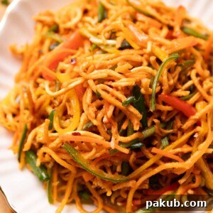 a close up image of chinese bhel to show the crunchy texture