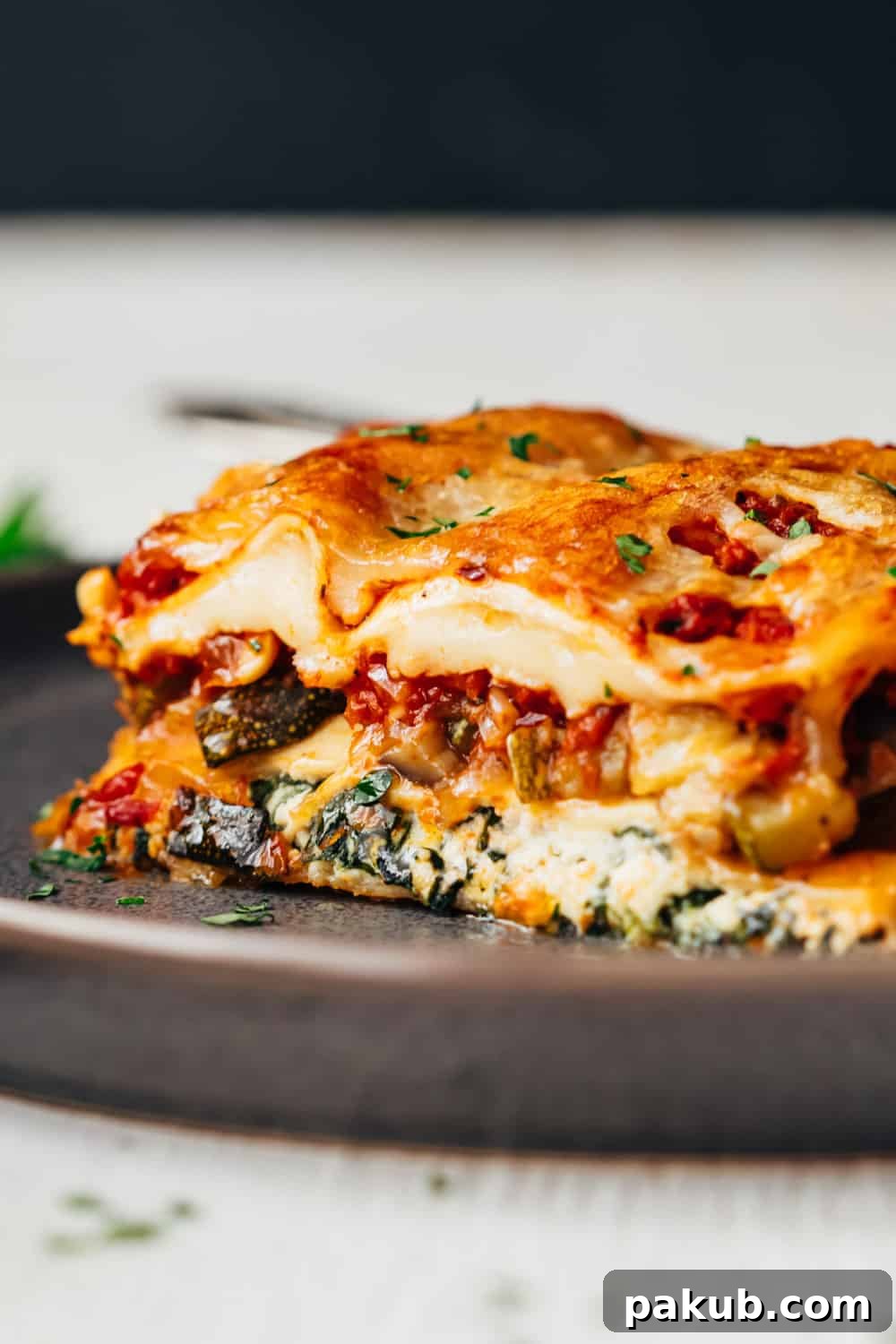 Effortless Vegetarian Lasagna Guide 3 Closeup of the layers of vegetarian lasagna