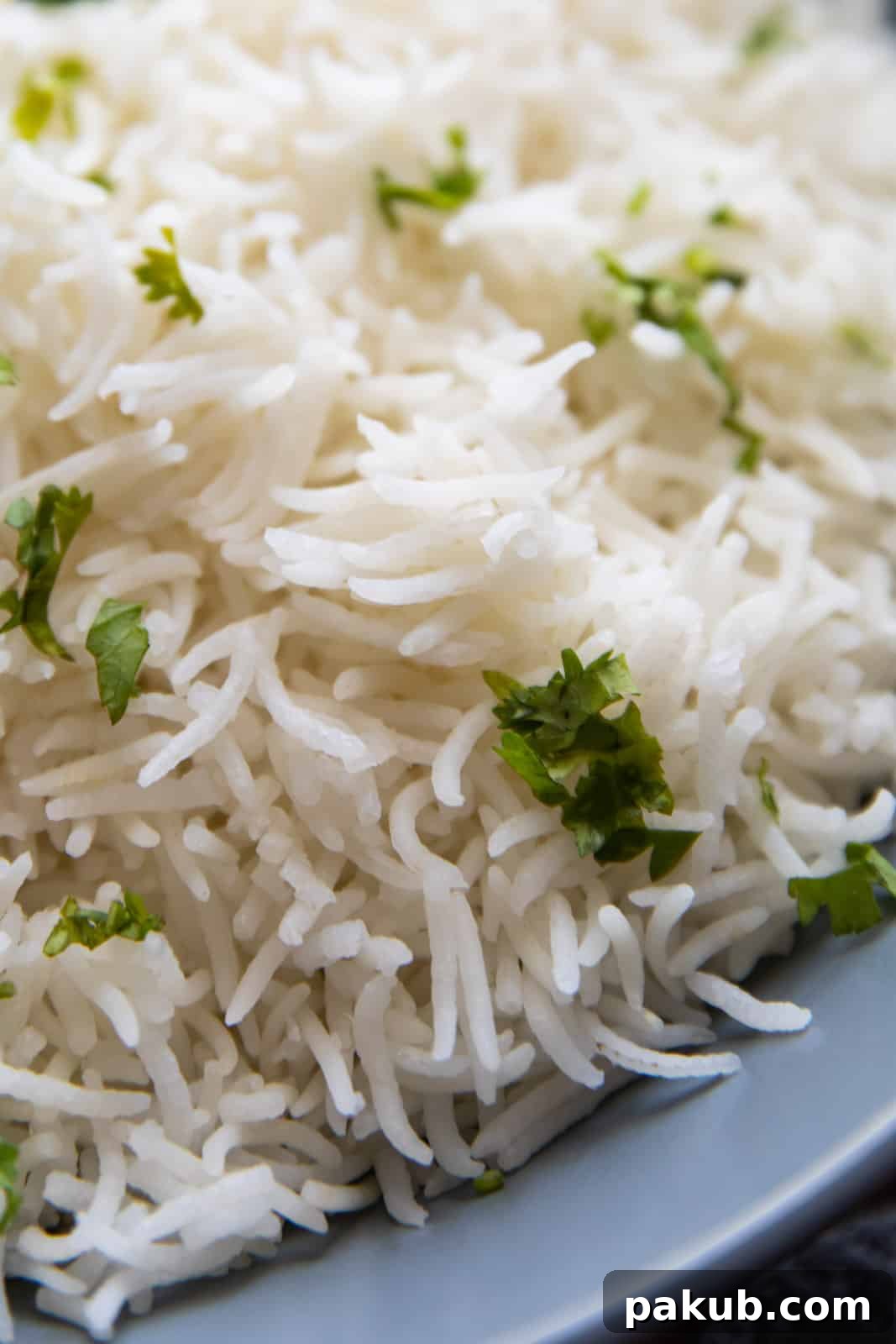 Closeup of basmati rice served in a bowl