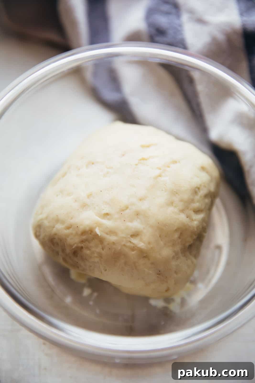 Soft, ready-to-use Magic Dough for no yeast pizza