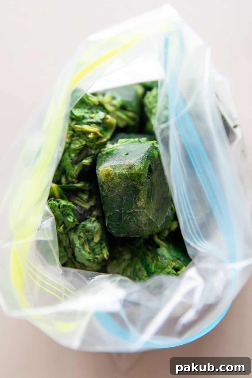Spinach Magic Three Ways From Pan to Freezer 7 Neatly arranged frozen spinach cubes in a ziplock bag, prepared for long-term storage and future cooking