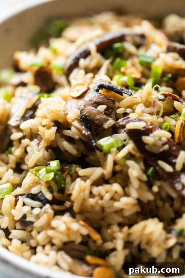 Roasted Garlic Mushroom Fried Rice 4 Closeup of the finished burnt garlic mushroom fried rice, showing crispy garlic bits and mushrooms.