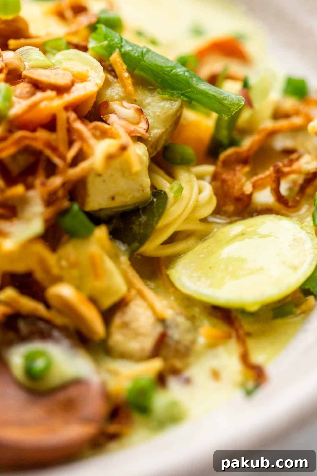 Closeup of khow suey to show texture and creaminess, inviting the viewer to taste.