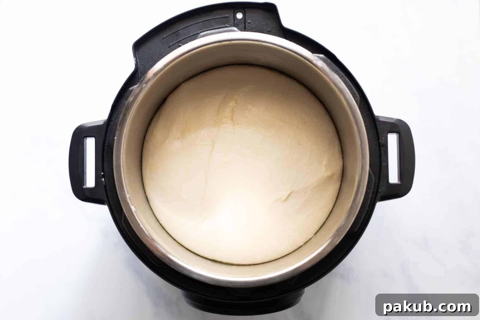 Perfectly proofed bread dough filling the Instant Pot, showing its doubled size and airy texture.