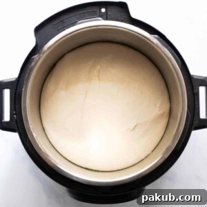 Proofed bread dough in the Instant Pot, ready for shaping and baking.