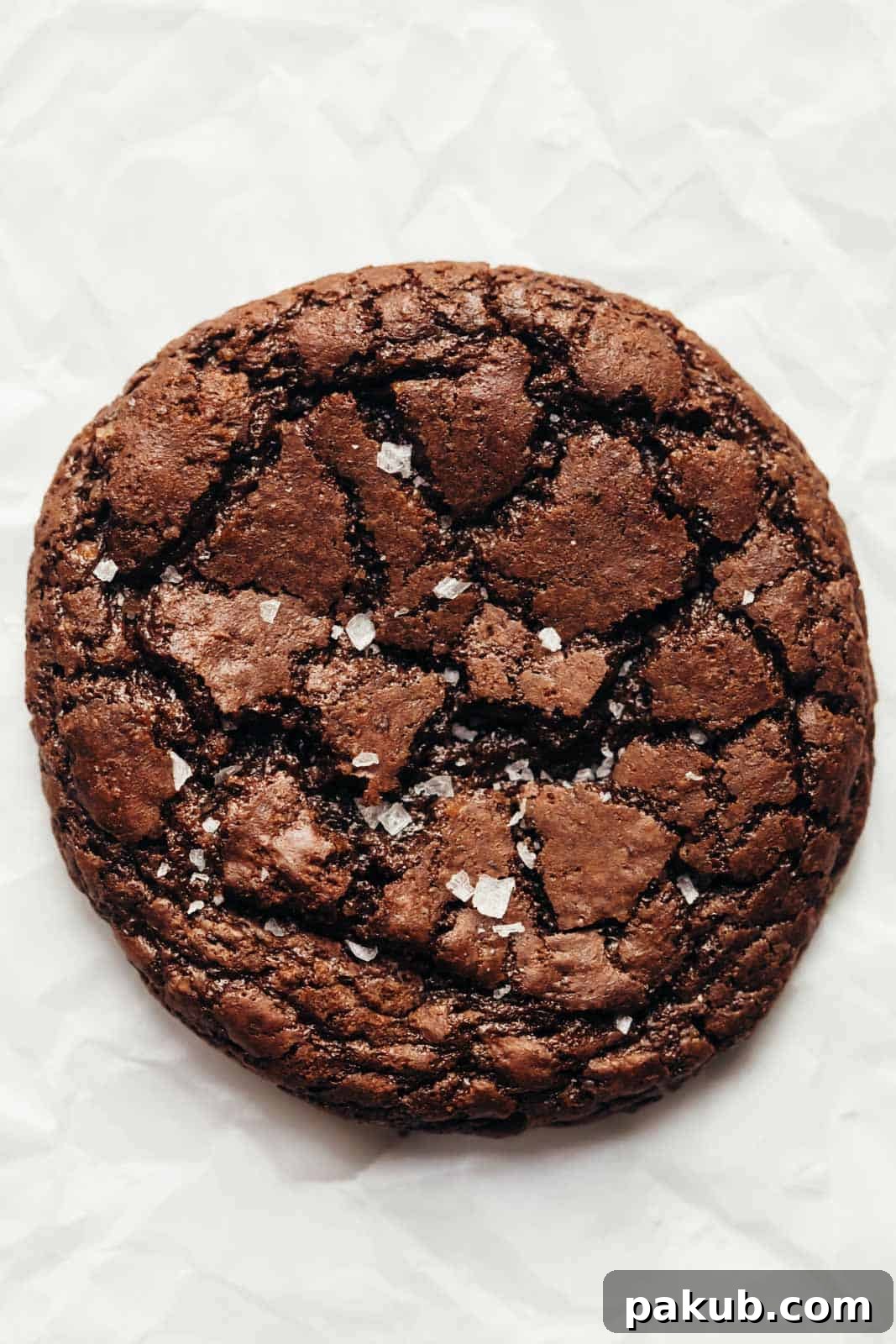 The Ultimate Fudgy Brownie Cookie for Your Inner Monster 4 Closeup of a single cookie sprinkled with sea salt