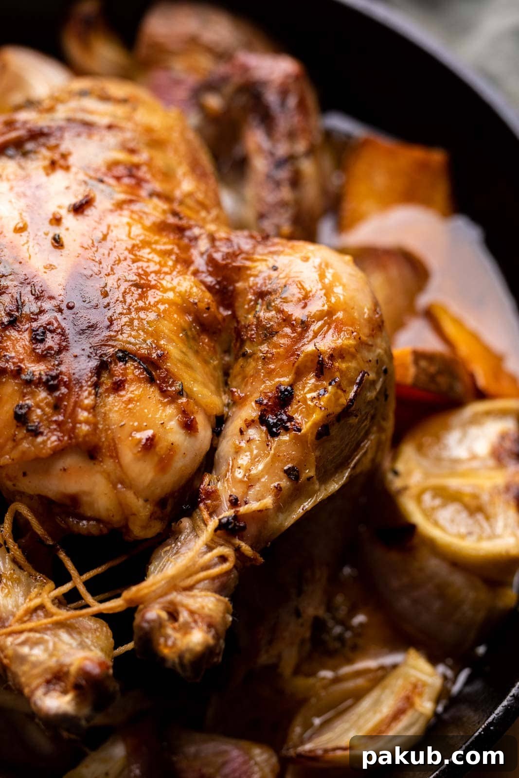 A closeup picture to show the crispy skin