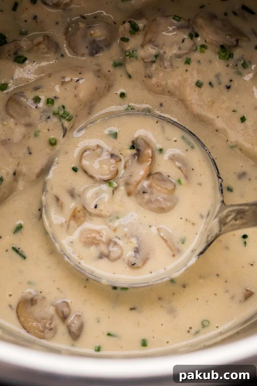 Instant Pot Creamy Mushroom Chicken 4 Close-up of the rich and creamy Parmesan mushroom sauce