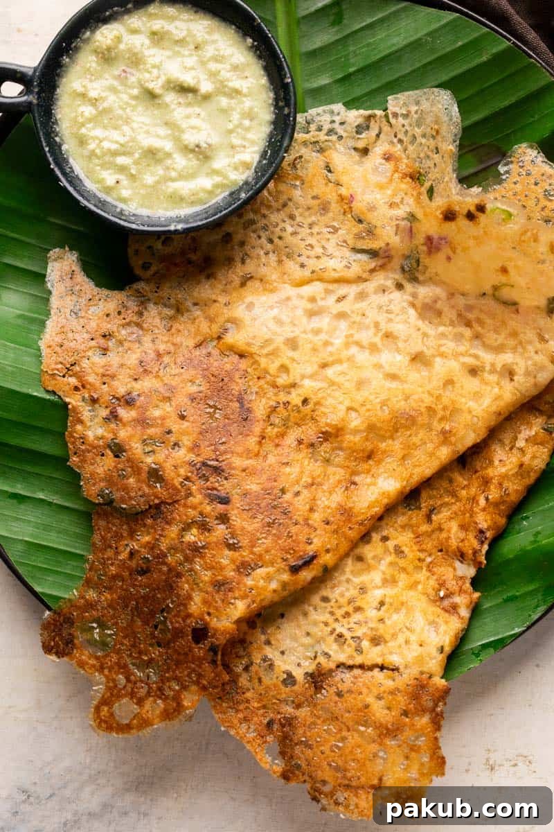 Instant Crispy Oats Dosa 2 Instant oats dosas served on a banana leaf lined plates with coconut chutney, showcasing their golden, crispy texture.