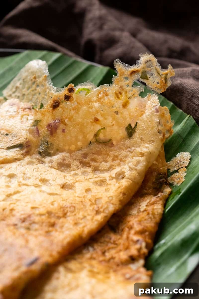 Instant Crispy Oats Dosa 5 A close-up view of Instant Oats Dosa, highlighting its intricate lacy texture and golden-brown crispiness.