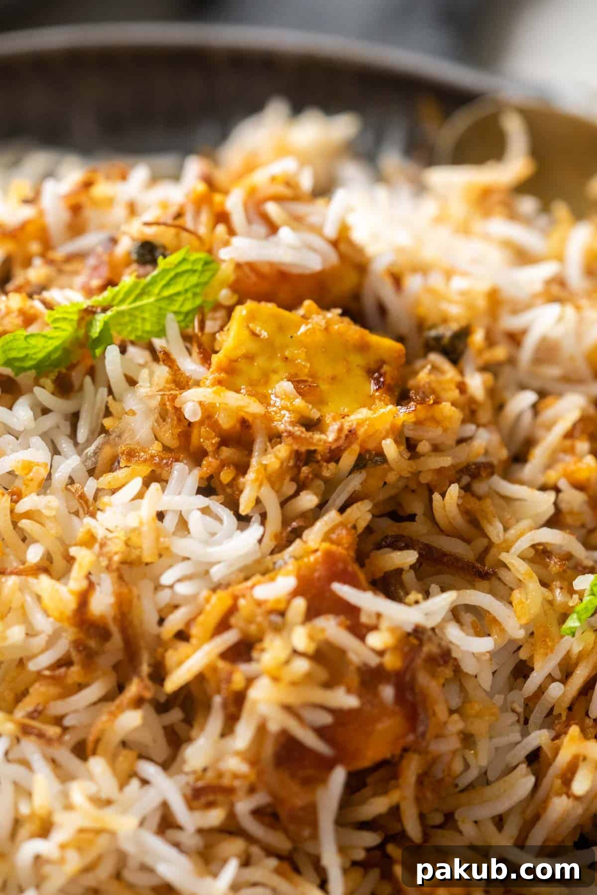 Decadent Makhani Paneer Biryani 11 A close-up view of fluffy Paneer Makhani Biryani, showcasing the perfectly cooked rice, tender paneer, and vibrant layers of herbs.