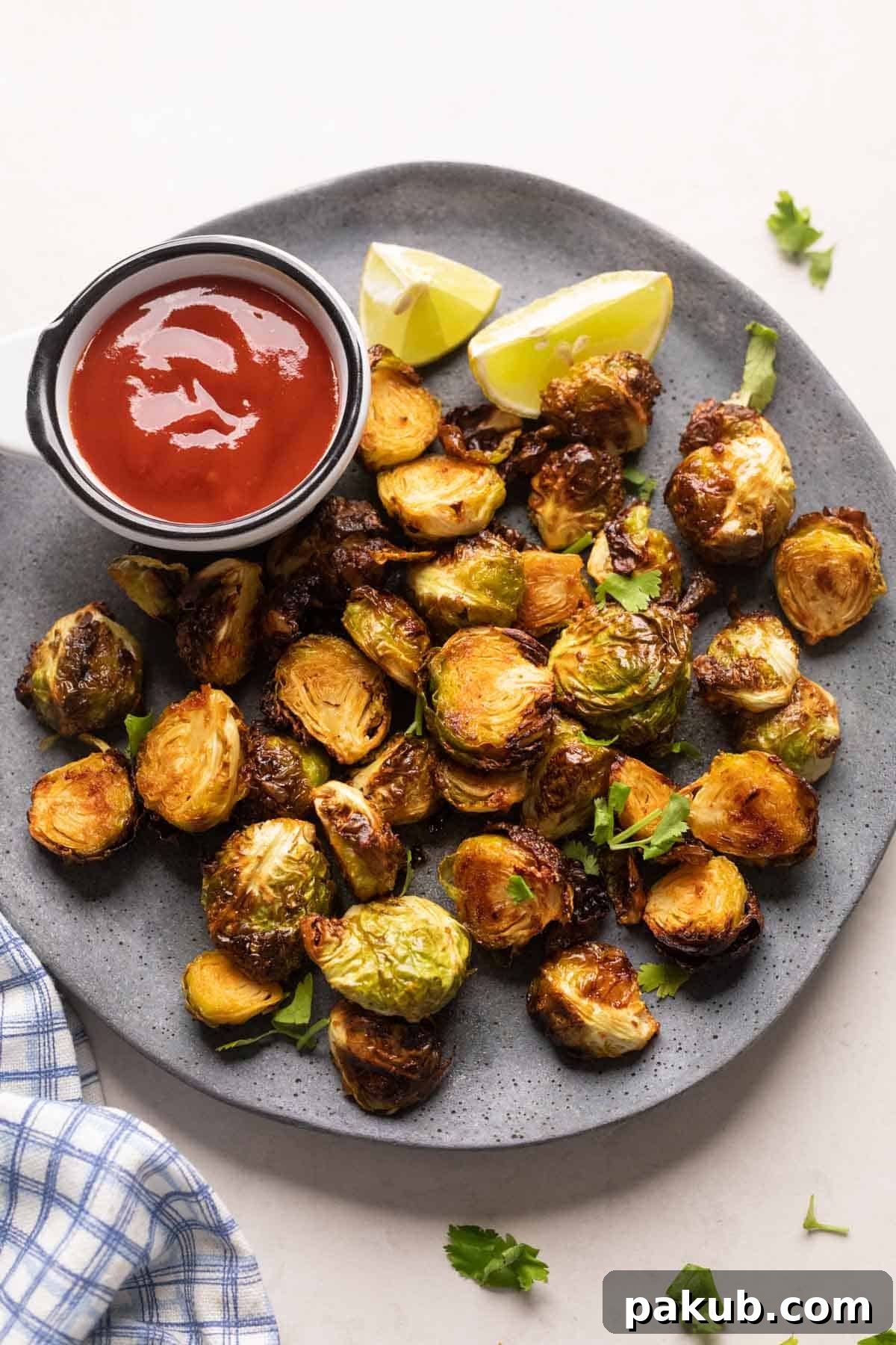 A vibrant serving of golden-brown crispy air fryer brussels sprouts, artfully arranged on a grey plate with a small dish of ketchup, garnished with fresh herbs, ready to be enjoyed.