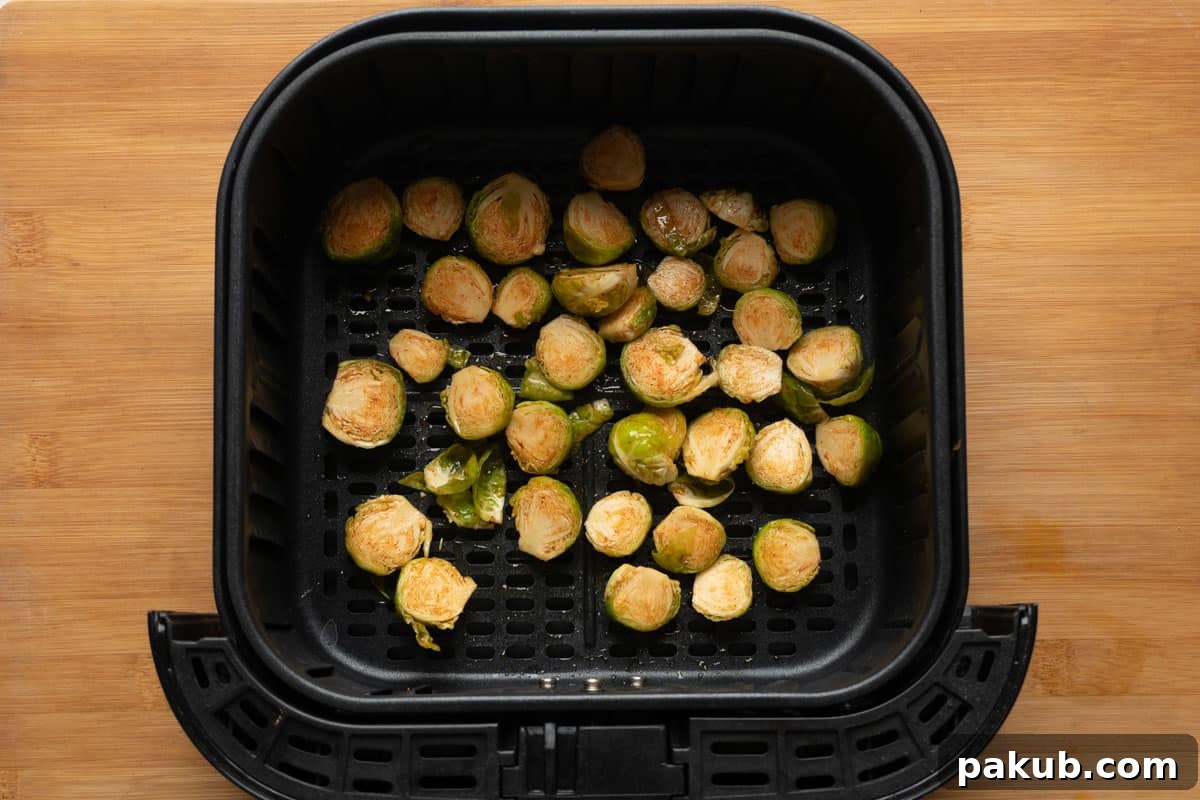 An air fryer basket meticulously arranged with seasoned Brussels sprouts spread in a single, even layer, illustrating the correct placement for achieving maximum crispness and preventing overcrowding.