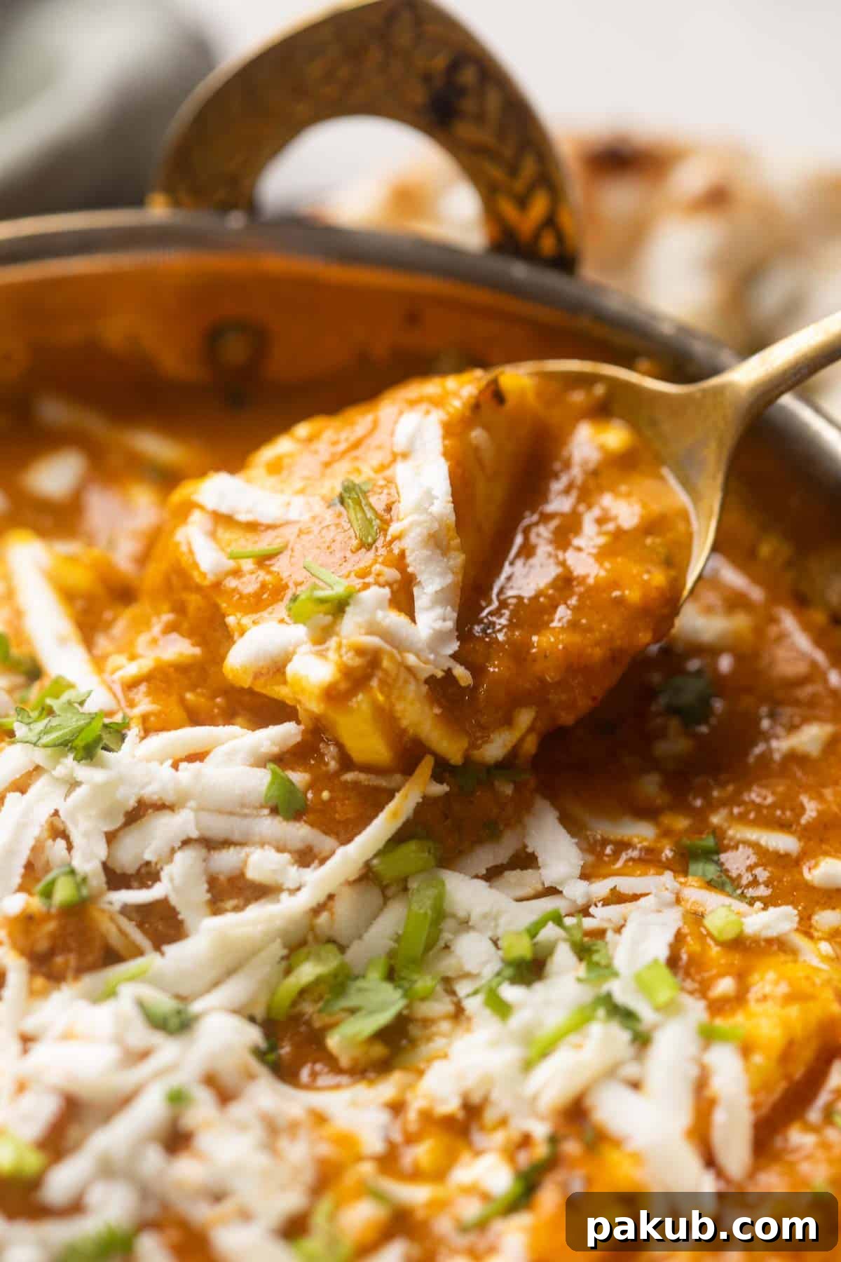 Close up of a spoonful of creamy Paneer Lababdar being taken out for serving, showcasing the rich texture and vibrant color.