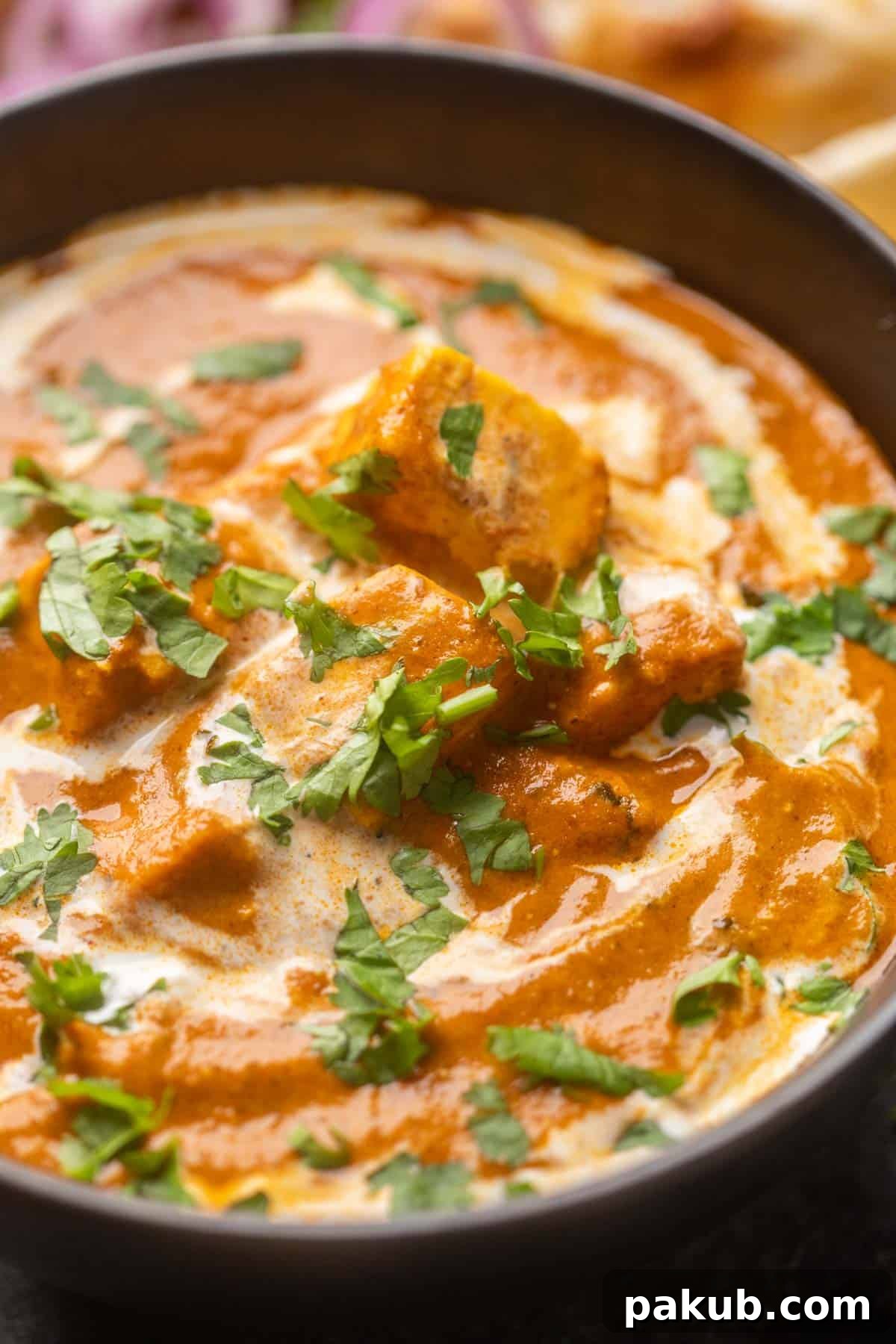 Shahi Paneer The Royal Indian Delight 7 Close up picture of shahi paneer showing the creamy texture of the gravy and soft paneer cubes, garnished with fresh coriander.
