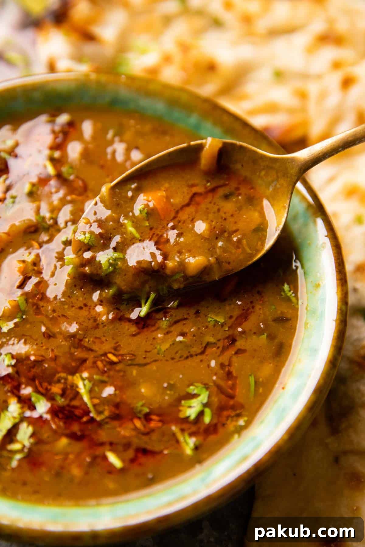 Closeup picture of a spoonful of dal to show the creamy texture