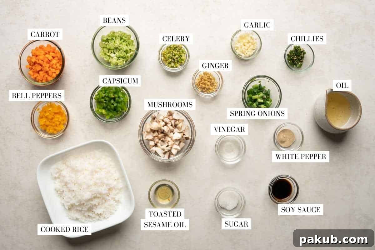 A carefully arranged flat lay showcasing all the fresh ingredients required to make vegetable fried rice, including rice, various chopped vegetables, and sauces.