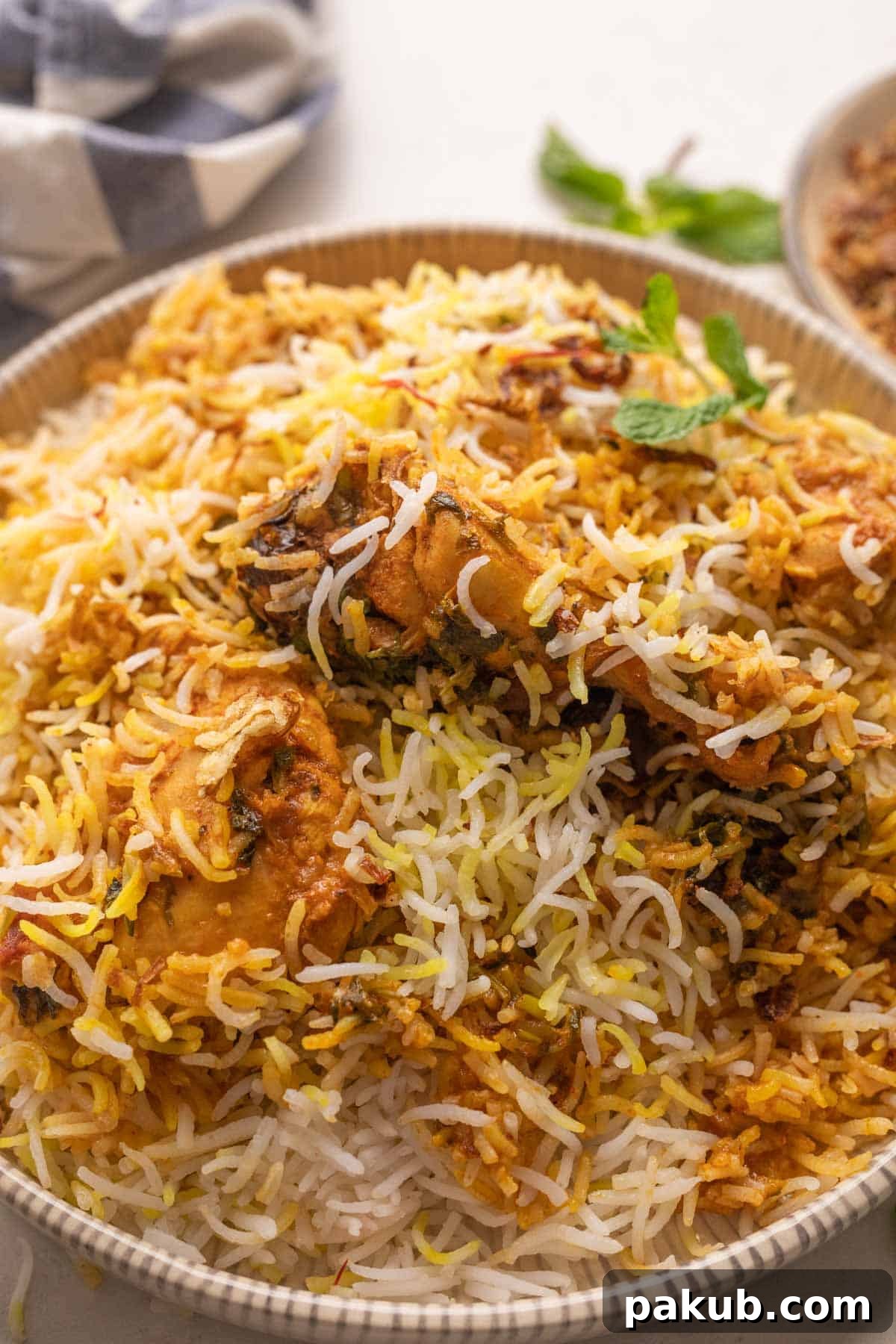 Elevate Your Biryani 19 Essential Tips 3 A close-up view of beautifully layered Biryani, showcasing fluffy rice, tender chicken, and vibrant spices, ready to be mixed and served.