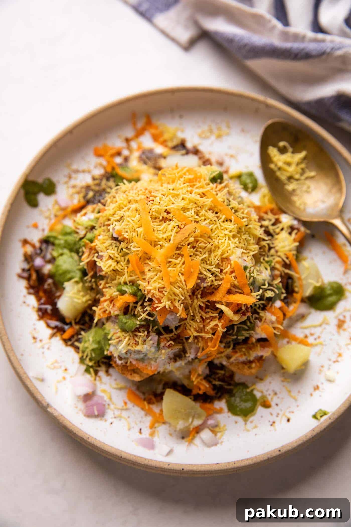 Vibrant Bread Chaat 2 Crispy Bread Chaat served on a pristine white plate, beautifully garnished with fresh cilantro and a spoon on the side, inviting you to take a bite.